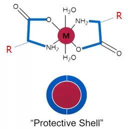 protective shell