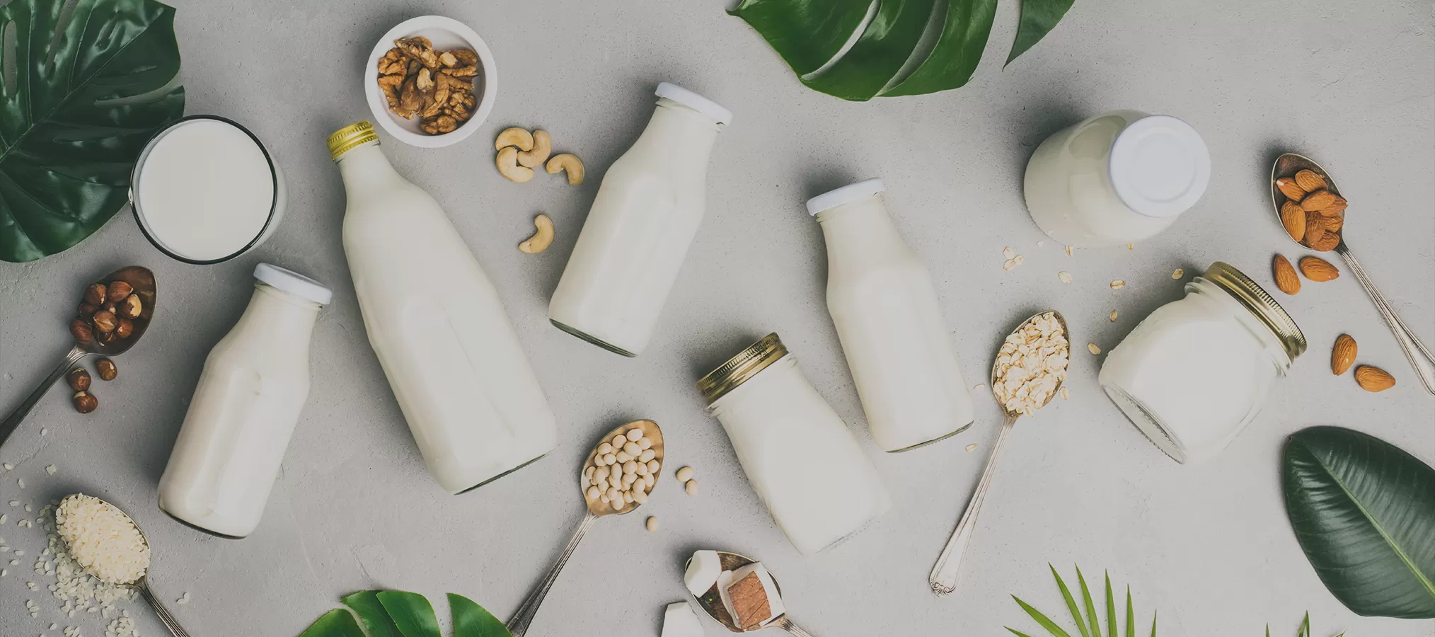 Richen bahan nutrisi untuk susu & susu