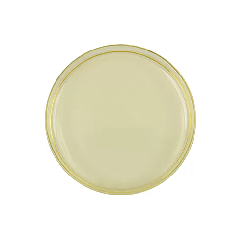 Perusahaan rivik2 vitamin k2 mk 7